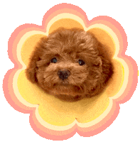 Dog Love Sticker