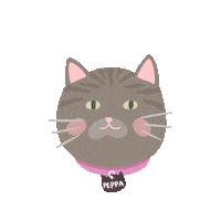 Cats Sticker