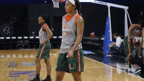 caneswbb GIF by Miami Hurricanes
