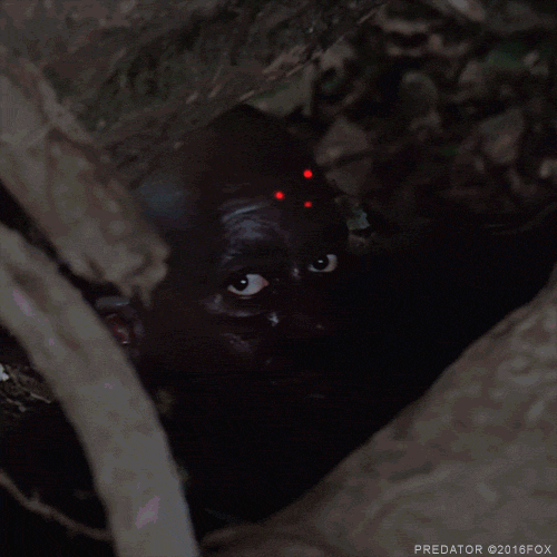 arnold schwarzenegger predator GIF by foxhorror