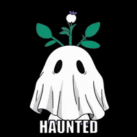 Trick Or Treat Halloween GIF by Magic Eden