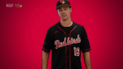 illinois state mvc GIF by Missouri Valley Conference