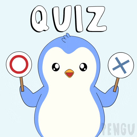 Penguin Yes GIF by Pudgy Penguins