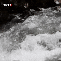 Summer Water GIF by TRT