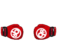 9roundAuroraBradford aurora 9round 9 round 9roundaurora Sticker