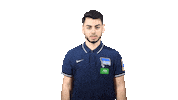 Fifa Sticker by Hertha BSC