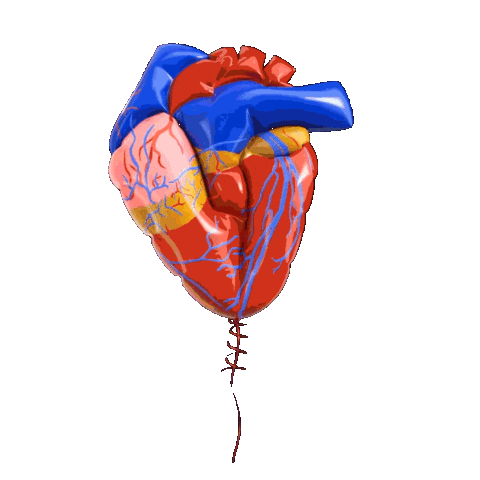 Human Heart Sticker