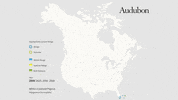 white-crowned pigeon GIF by audubon