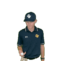 Clarke Golf Sticker by Clarke University