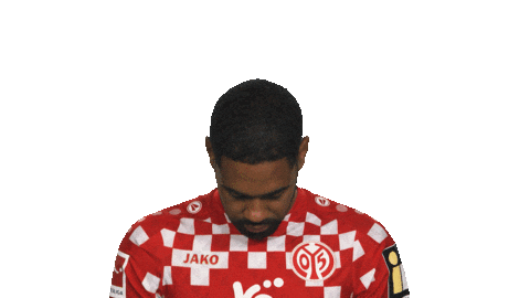 Look Up Mainz 05 Sticker by Bundesliga