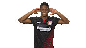 hear bayer leverkusen Sticker by Bundesliga