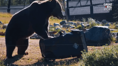 Angry Lets Go GIF by Great Big Story