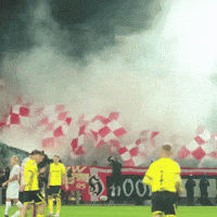Football Soccer GIF by Widzew Łódź