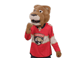 Ice Hockey Sticker by NHL