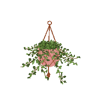 Plant Sticker by HGTV Canada