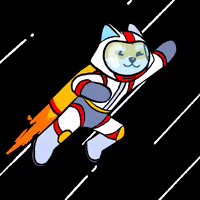 DogelonMars dog meme crypto flying GIF