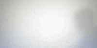 Drag Racing Top Fuel GIF by NHRA