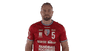 Handball-Bundesliga Handball Sticker by LIQUI MOLY HBL