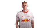 Red Bull Goal Sticker by RB Leipzig