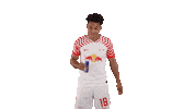 Red Bull Football Sticker by RB Leipzig