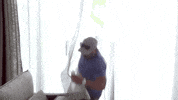 drunk fall GIF by Bravo TV