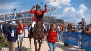gold medal wow GIF by FEI Global