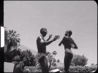 Waterslide GIF by Janelle Monáe