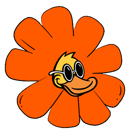 Car Wash Duck Sticker by Quick Quack