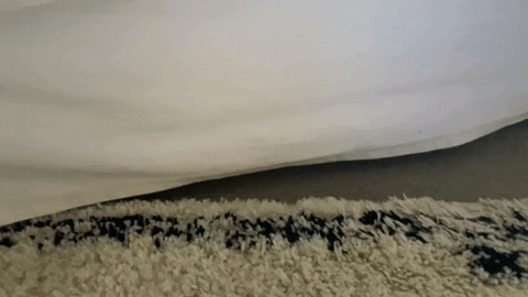 andrewdoughtyfee7 tha paw GIF