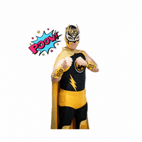 Eldefensordelaley GIF by LosDefensores