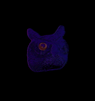 Wave Owl GIF by MYNTWAVE