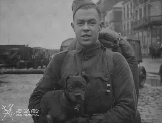 NationalWWIMuseum giphyupload black and white puppy military GIF