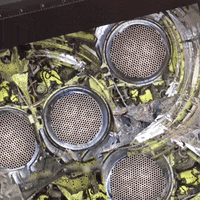 Ranjitsingh GIF by Alex Boya