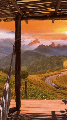 GIF by Learner Circle