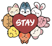 Stray Kids Skz Sticker