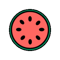 WatermelonBoard summer watermelon slice watermelon slice Sticker