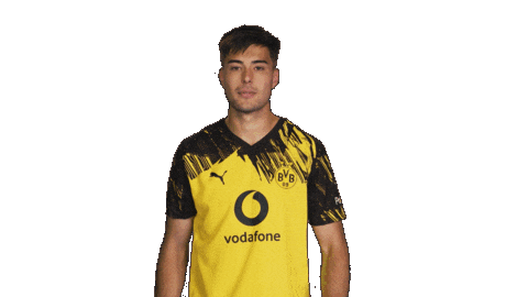 Borussia Dortmund Sticker by Bundesliga