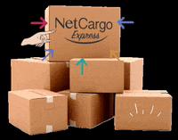 Netcargoexpress netcargoexpress GIF