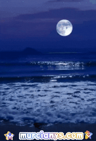 Luna Amigos GIF by Murcianys LLC