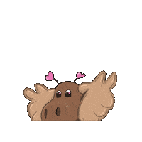 Uwaterloo Sticker by Renison University College