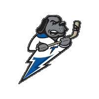 wichitathunderhockey_ hockey tdog wichitathunder Sticker