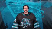 San Jose Love GIF by San Jose Barracuda