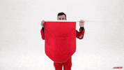 Austin Dillon Ugh GIF by Richard Childress Racing