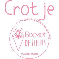 boeketdefleurs local bouquet brussels fleurs Sticker