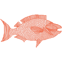 Thaifish Sticker by Daica.