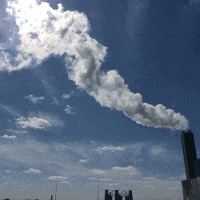 animated gif nj GIF by Liaizon Wakest