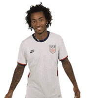 Celebrate Us Soccer Sticker by U.S. Soccer Federation