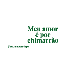 Ervamate Sticker by Erva Mate Santiago