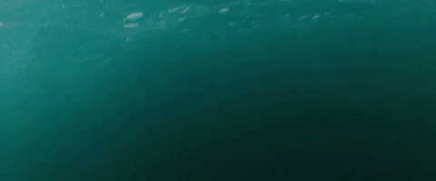 Diving Under