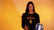 calathletics sports sport college volleyball GIF